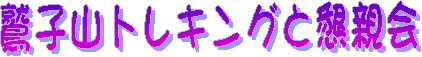 sinsyun